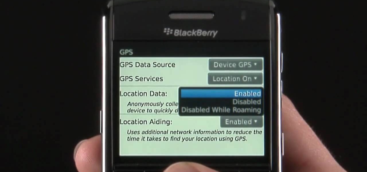 blackberry bold user manual pdf