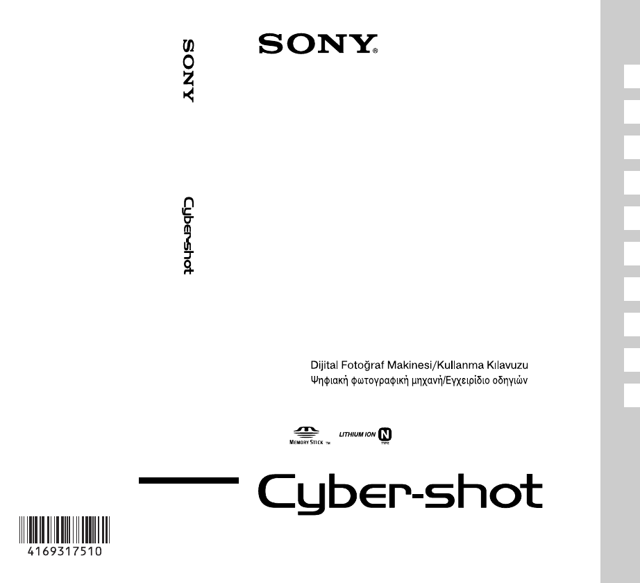 sony cyber shot dsc w310 manual
